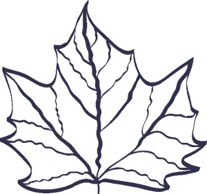 Permanent Residency Pr Pathways For Hong Kong Residents Permanent Residency Pr Pathways For Hong Kong Residents