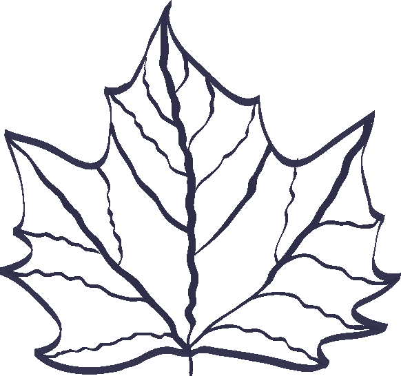 Leaf Icon - RightWay Canada Immigration Services