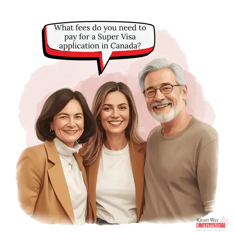 Super Visa Fees In Canada Including Government Fees And Other Application Costs