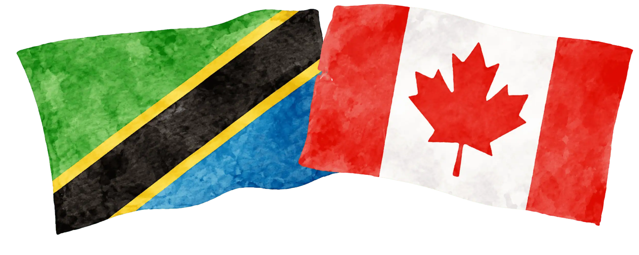 Tanzanian and Canadian flags representing immigration from Tanzania to Canada