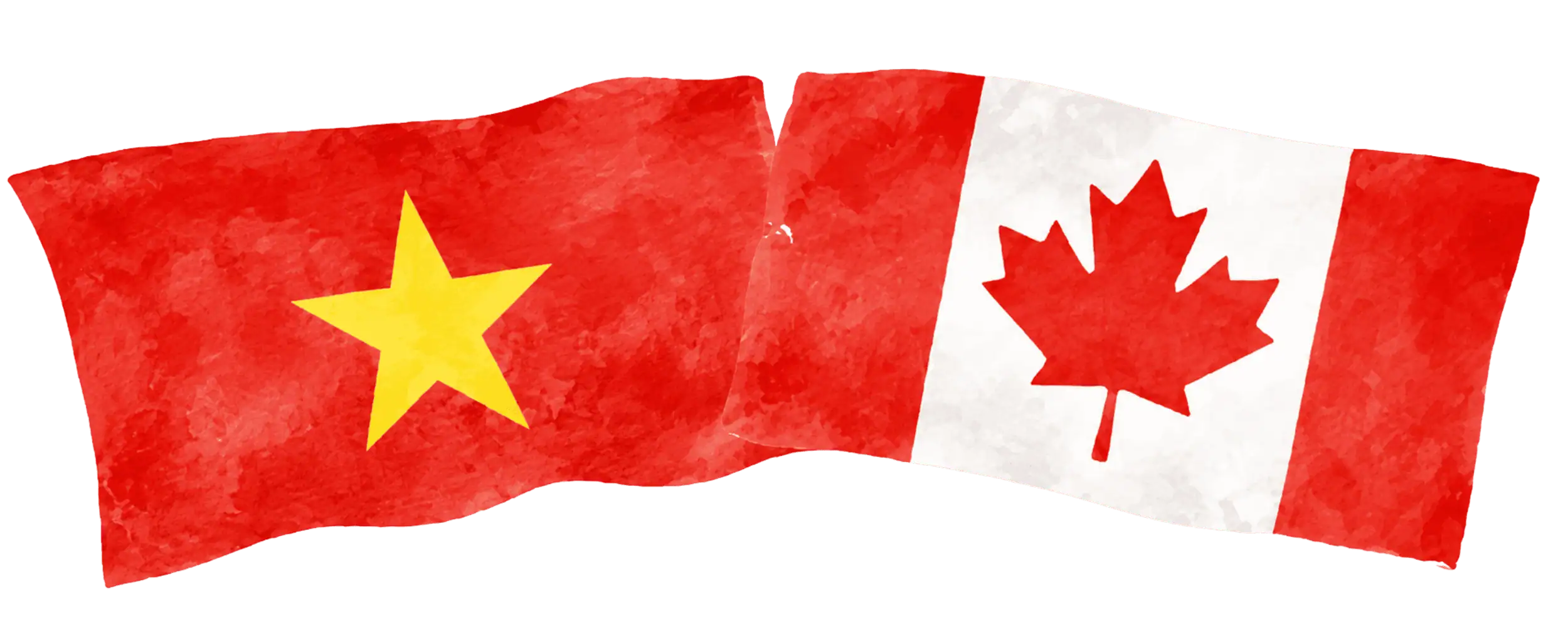 Vietnamese and Canadian flags representing immigration from Vietnam to Canada